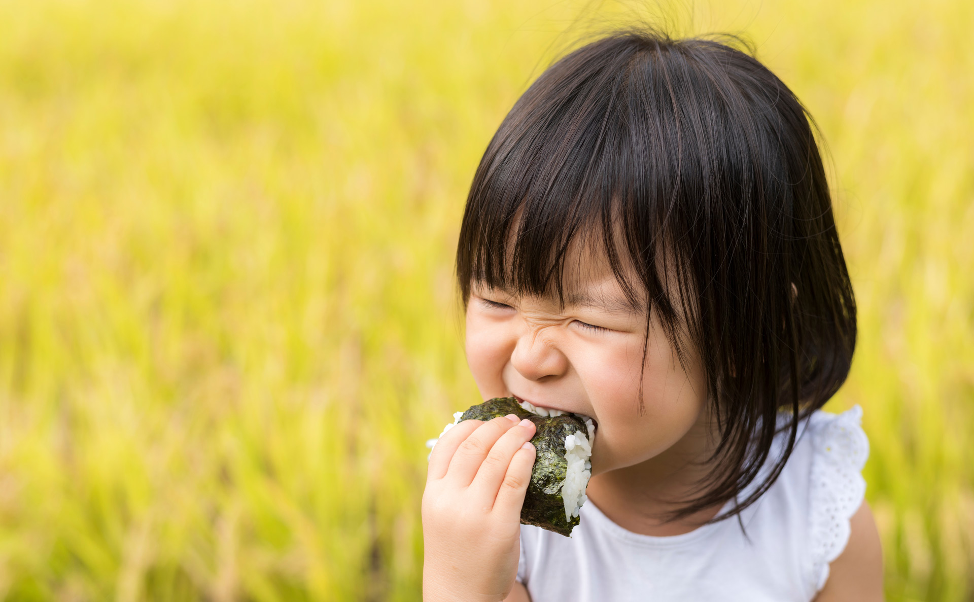 聖山パノラマホテルの料理